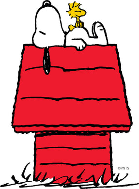 Snoopy Blanket Bundle with Free Wax Melts
